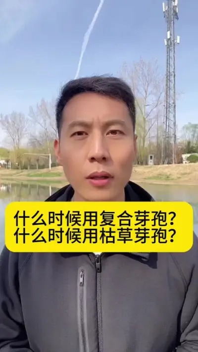 什么时候用复合芽孢？什么时候用枯草芽孢？#南美白对虾 #冬棚养虾 #水产养殖 #小棚养虾 #创作灵感