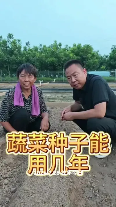 #蔬菜种植 #种子