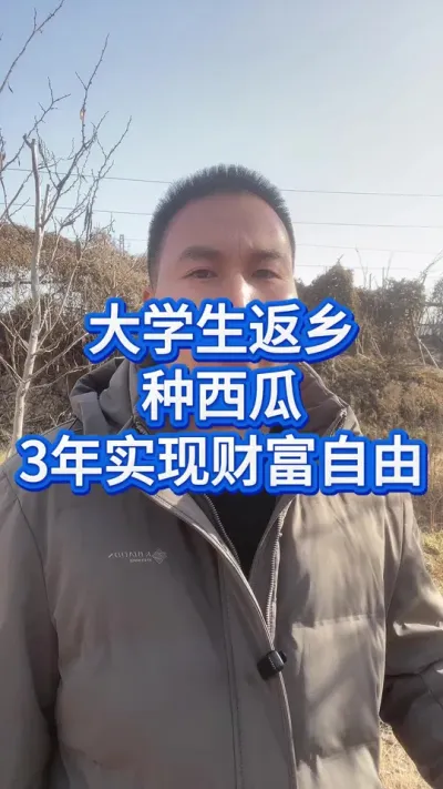 大学生返乡种西瓜，3年实现价值 #西瓜管理 #大棚西瓜种植技术 #西瓜种植技术 #西瓜怎样管理才能结瓜多 #西瓜种植的方法和技术