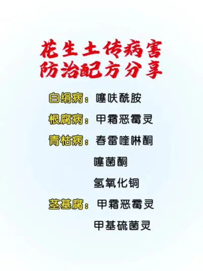 花生土传病害，防治配方分享！#花生高产#花生高产种植#花生种植#分享农业知识帮农民增产增收 #干货分享