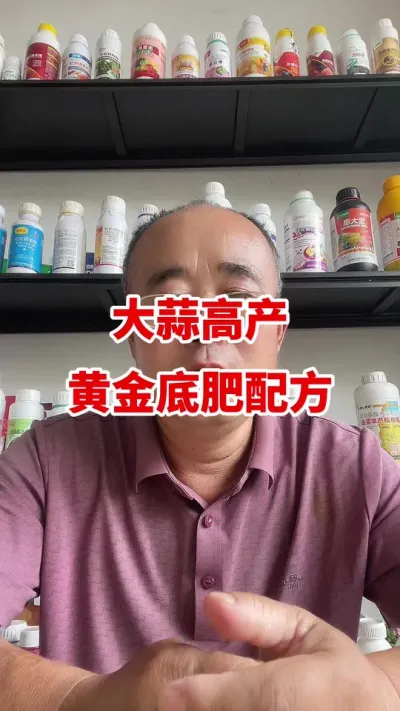 大蒜高产底肥黄金配方#大蒜种植 #大蒜种植技术 #大蒜底肥 #颗粒硼 #农业种植