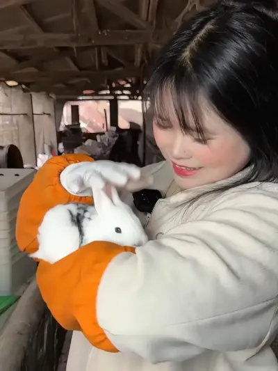 #肉兔养殖 #养兔人 #农村创业养殖 #肉兔养殖技术 #干货
