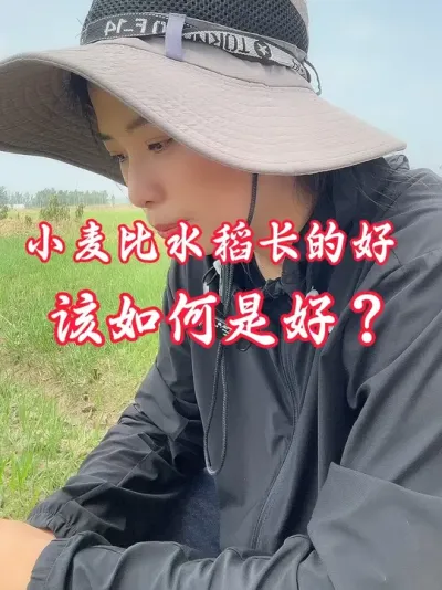 麦苗多的看看#分享农业知识帮农民增产增收 #老百姓关心的话题