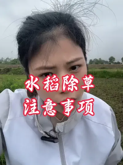 会打药效果才好#分享农业知识帮农民增产增收 #老百姓关心的话题 #水稻除草