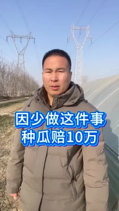 少做了这件事，种瓜赔10万 #西瓜管理 #西瓜 #服务三农支持三农 #三农种植 #西瓜种植技术