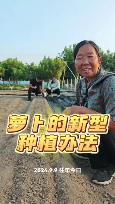 #萝卜白菜 #蔬菜种植 #农业