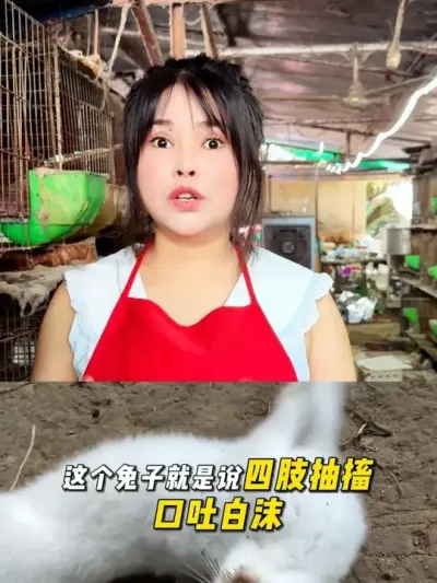 养兔一定要细心#农村创业养殖 #三农 #养殖人加油