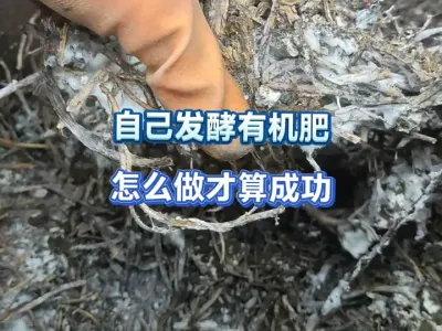 自己发酵有机肥这样做才算真正的发酵成功，方法既简单还省人力 #新农人计划2025 #三农 #有机种植 #有机肥发酵 #土壤改良 