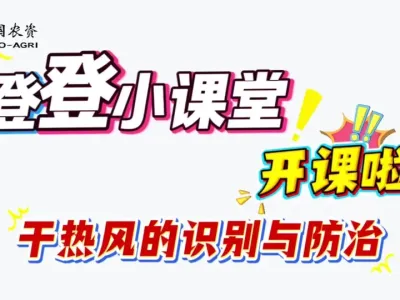 关注！干热风：粮食减产的头号隐形杀手，预防中农有方案！！！#干热风#红马甲#农业科普