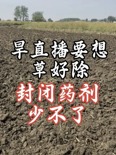 封闭做的好。杂草除的少#老百姓关心的话题