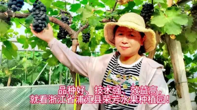 #支持农业发展 #田园生活乐趣多 #助力果农