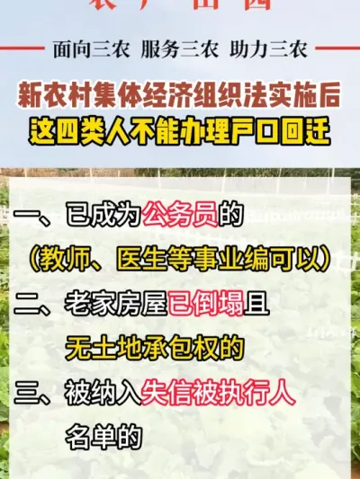 #政策 #热点 #政策解读 #提醒 #集体经济