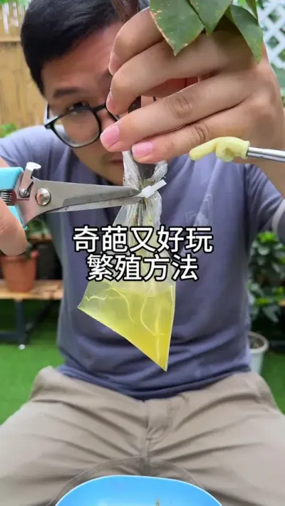 奇葩又好玩的繁殖方法，你见过吗 #花卉绿植 #养护小知识