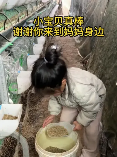 我的孩子就是我赚钱的动力#肉兔养殖 #农村创业养殖 #我的养殖生活 #养兔三分靠管理七分靠技术