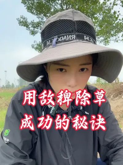 用敌稗除草的成功秘诀，选对配方！淋透洗澡#除草剂 #老百姓关心的话题