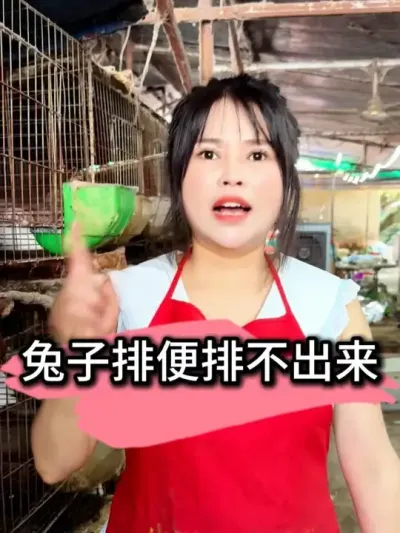 #养兔 #养兔技术 #养兔三分靠管理七分靠技术 #养兔人