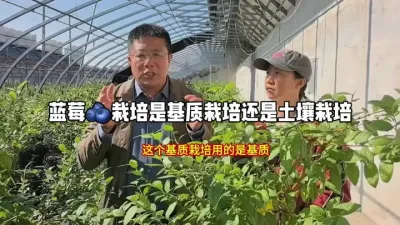 #乡村振兴dou行动 #果树种植 #生态农业 #振兴乡村