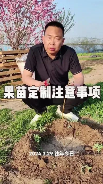 #农业种植小技巧