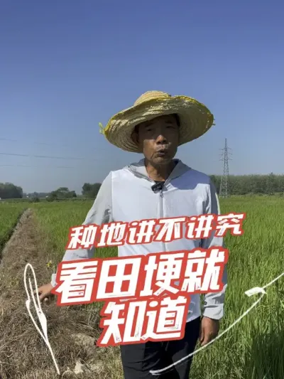 田埂不灭茬，明年田里的草多还不好打#分享农业知识帮农民增产增收 #老百姓关心的话题