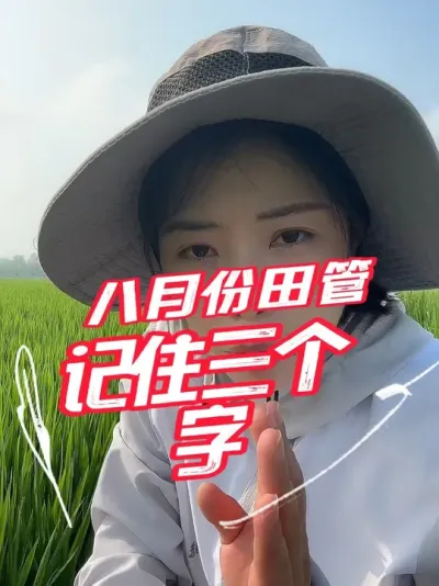 8月份田管，做好这3点，产量低不了#分享农业知识帮农民增产增收 #老百姓关心的话题