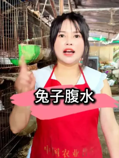 养兔#养兔人 #养兔技术 #养兔日常