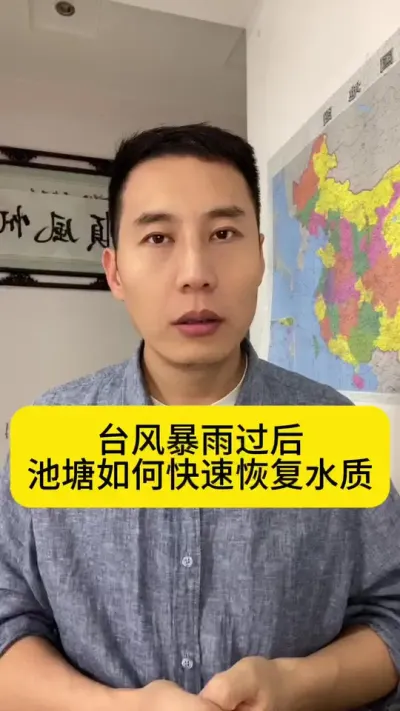 台风暴雨过后，池塘如何快速恢复水质？#水产养殖 #对虾养殖 #养虾人 #土塘养虾 #创作灵感