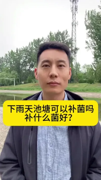 下雨天池塘可以补菌吗？补什么菌好？#水产养殖 #南美白对虾养殖 #小棚养虾 #南美白对虾 #创作灵感