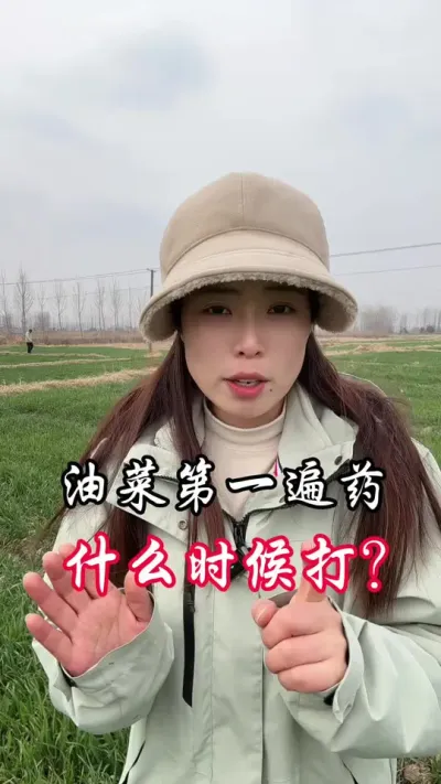 油菜第一遍药，不早不晚，这个时候正好#分享农业知识帮农民增产增收