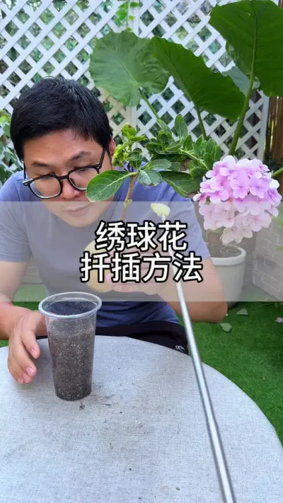 扦插繁殖，就用这一招#花卉绿植 #养花 #种植小技巧