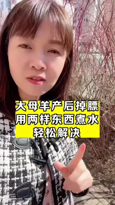 #牛羊养殖 #养殖小妙招 #支持三农扶持三农发展 #牛羊养殖技术分享 #农村创业养殖 @DOU+小助手