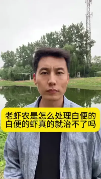 都说白便是无💊可治，老虾农是怎么处理白便的？#对虾养殖 #土塘养虾 #冬棚养虾 #养虾人 #创作灵感