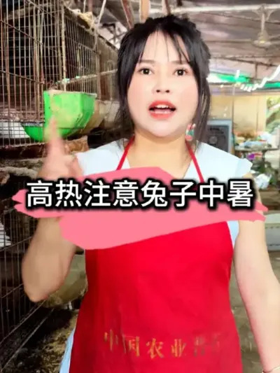 养兔#养兔人 #养兔三分靠管理七分靠技术 #养兔技术经验分享