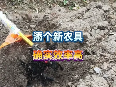 网购了一台新农具，今天下地试验松土，效率确实不错，种菜添帮手 #田间地头 #农业种植 #三农 #农业机械 #真实户外 