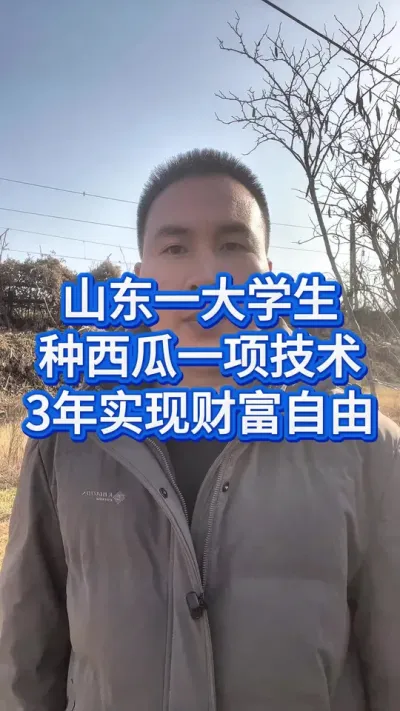大学生返乡种西瓜，3年实现财富自由 #种西瓜 #西瓜管理 #大棚西瓜种植技术 #服务三农支持三农 #助力三农