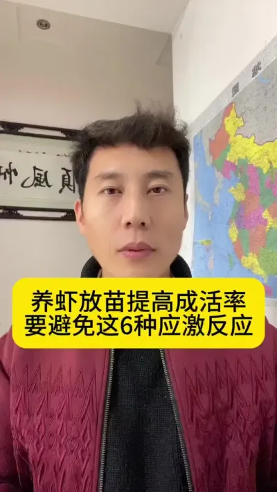 养虾放苗提高成活率，要避免这6种应激反应#南美白对虾 #高位池养殖 #冬棚养虾 #小棚养虾 #创作灵感
