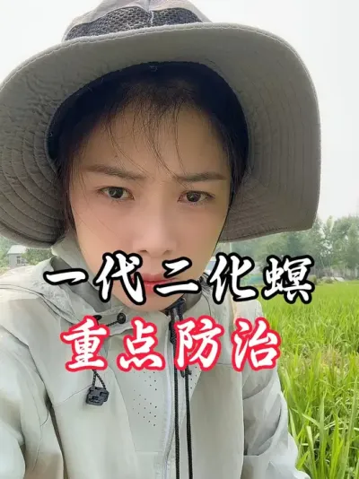 一代二化螟要开始防治了#分享农业知识帮农民增产增收 #老百姓关心的话题 #抖音助力三农