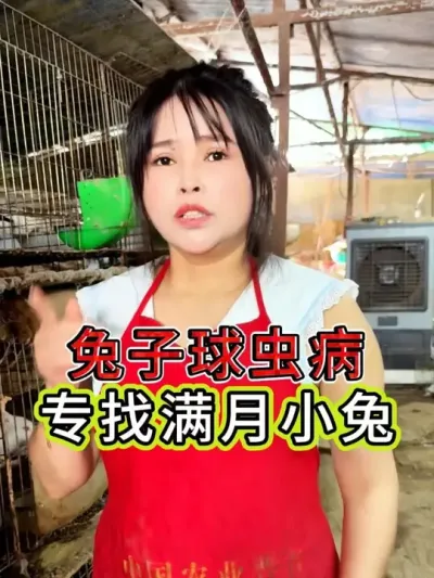 #养兔 #三农 #养殖人加油 #养兔人 #农村创业