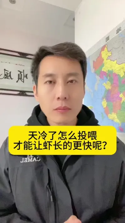 天冷了怎么投喂才能让虾长的更快呢？#南美白对虾 #高位池养殖 #冬棚养虾 #小棚养虾 #创作灵感