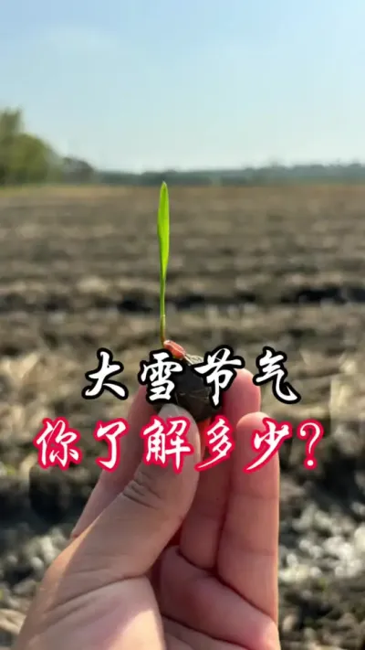 大雪节气到，看大雪，知气候，不知道准不准##分享农业知识帮农民增产增收