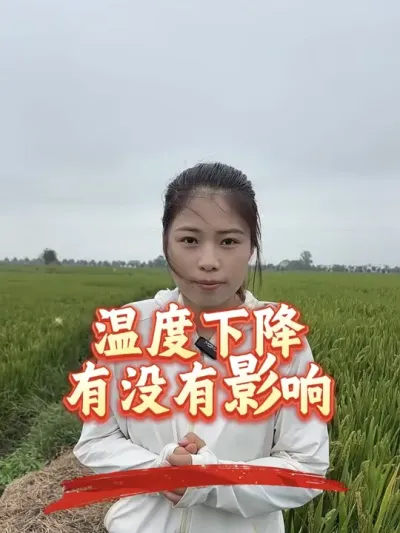 及时关注天气预报，如果有低温，一定要采取措施，降低损失#分享农业知识帮农民增产增收 #老百姓关心的话题