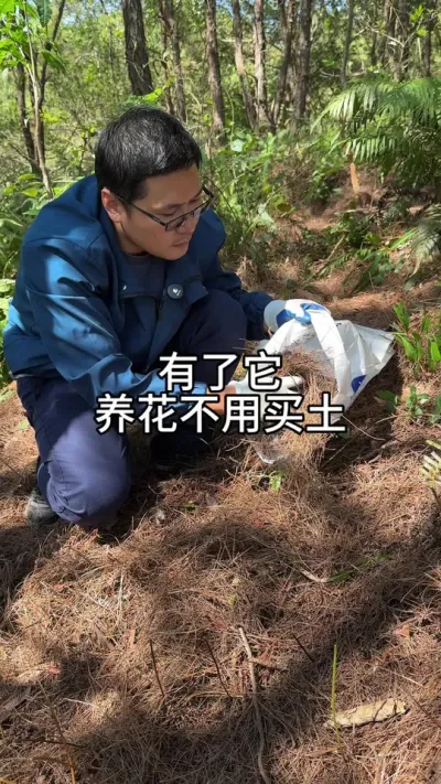 教你用它制作高级营养土 #花卉绿植 #养花 #种植小技巧