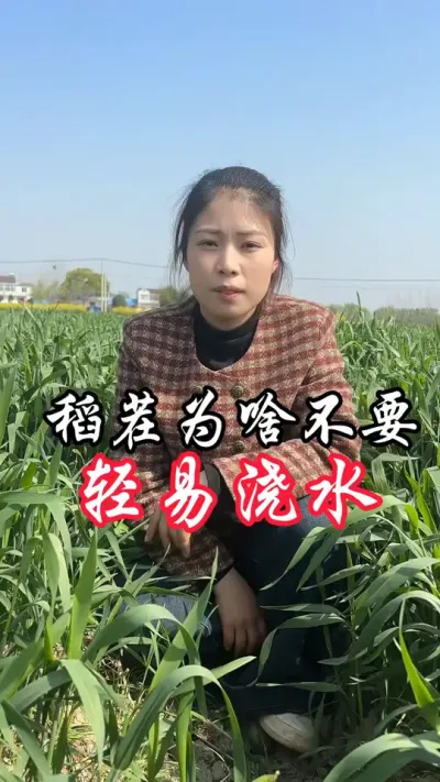 浇水不浇水呢#分享农业知识帮农民增产增收 #农民的心声有人解答吗