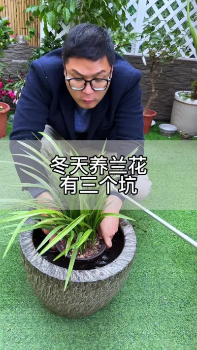 冬天给兰花浇水有三个坑#花卉绿植 #养花 #种植小技巧