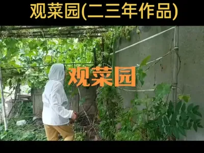 观菜园(二三年作品)