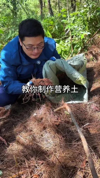 有了它营养土，不用花钱买#花卉绿植 #养花 #种植小技巧