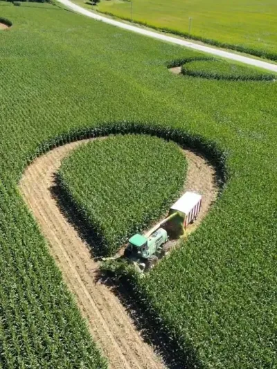 德国农场主女儿朱莉亚收割玉米青储作业场景#农业机械#现代农业机械 #科技改变生活