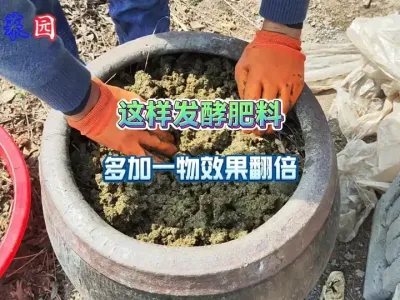 不要再单纯的发酵肥料了，多加一样不要钱的材料好处多，效果翻倍 #新农人计划2025 #种植小技巧 #抖音助农 #三农 #农村生活 