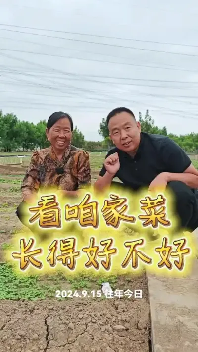 #饺子菜 #蔬菜种植 #农业种植