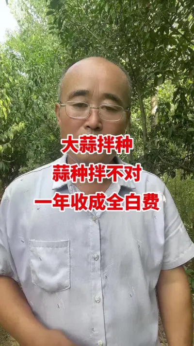 大蒜种植蒜种拌不对一年收成全白费#大蒜种植 #大蒜种植技术 #大蒜拌种 #大蒜拌种剂