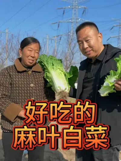 好吃的麻叶白菜    大雪出白菜  #农业种植 @生菜杨姐 #种植小技巧 #大雪 @DOU+小助手